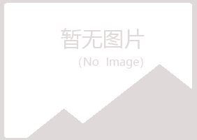 淅川县匆匆能源有限公司